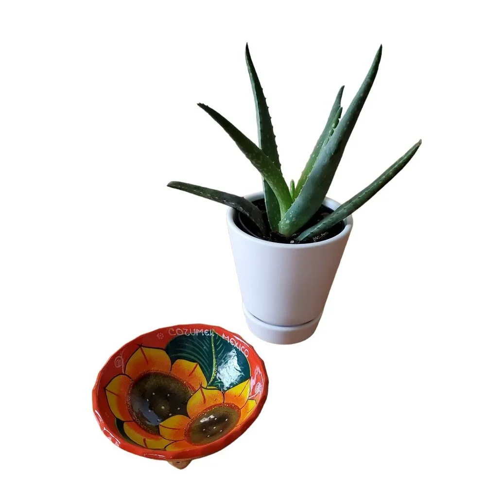 Cozumel Mexico Floral‎ Vibrant Colored Homemade Salsa Dish Trinket Bow